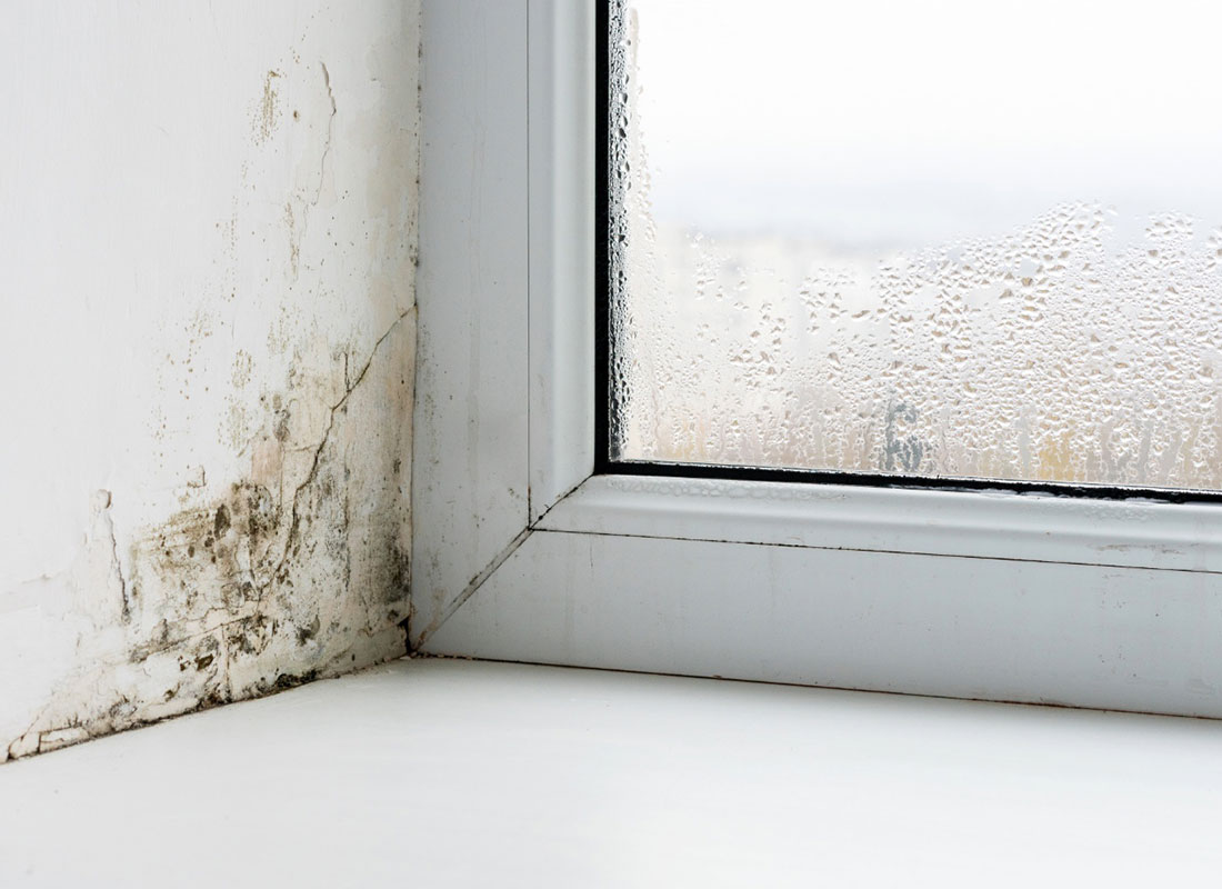 condensation-mould condensation mould
